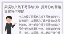 《暗黑3技能培训文案攻略》（教你如何提升技能实力，畅享游戏乐趣）