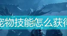 猎人宠物技能提升等级攻略（如何快速提升猎人宠物技能猎人宠物技能提升等级）