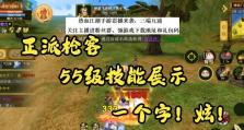 《热血江湖150级攻略技能大全》（掌握这些技能，成就一代江湖豪侠）
